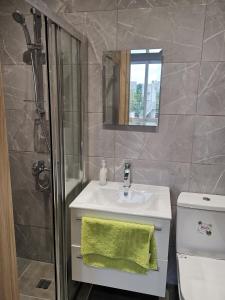y baño con lavabo, ducha y aseo. en PERSEUS 3 BEDROOM Apartment 102 en Lárnaca