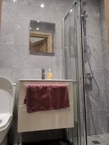 y baño con ducha, lavabo y espejo. en PERSEUS 3 BEDROOM Apartment 102 en Lárnaca