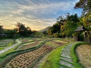 a field of crops with the sunset in the background at Fern Resort Mae Hong Son in Mae Hong Son