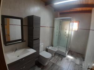 La salle de bains est pourvue d'un lavabo, de toilettes et d'une douche. dans l'établissement Esquel house, à Esquel