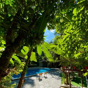 a pool framed by trees with lounge chairs next to it at Fern Resort Mae Hong Son in Mae Hong Son
