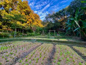 a field of crops in a garden with trees at Fern Resort Mae Hong Son in Mae Hong Son