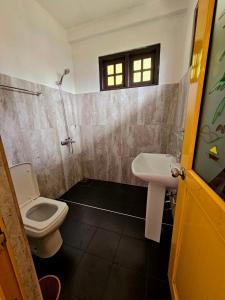 a bathroom with a toilet and a sink at Chez Allen in Nuwara Eliya