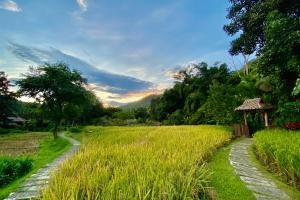 a path through a field of tall grass at Fern Resort Mae Hong Son in Mae Hong Son