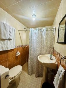 La salle de bains est pourvue de toilettes et d'un lavabo. dans l'établissement Hotel Monarca Tlalpujahua, à Tlalpujahua de Rayón