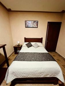 Postel nebo postele na pokoji v ubytování Hotel Monarca Tlalpujahua