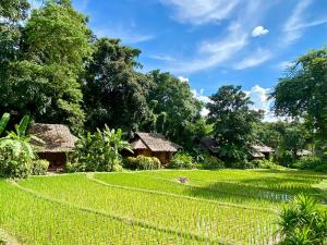 a rice field with houses in the background at Fern Resort Mae Hong Son in Mae Hong Son