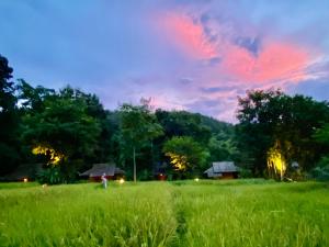 a person in a field with a pink sky at Fern Resort Mae Hong Son in Mae Hong Son