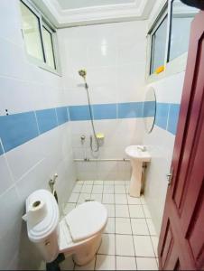 ein Bad mit einem WC und einem Waschbecken in der Unterkunft Guesthouse & énergie in Douala