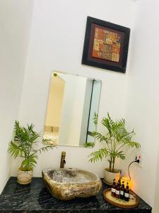 a bathroom with a large stone sink and two plants at Elephant's House - Đường Lâm Homestay in Hanoi