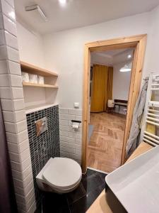 a bathroom with a white toilet in a room at Cozy designer apartment in Friedrichshain in Berlin