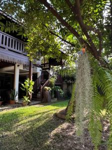 una casa con una palmera en el patio en SJ House, en Chiang Mai