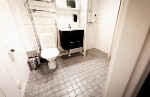 a bathroom with a toilet and a sink at Holiday Resort Harjun Portti in Punkaharju +62 photos