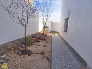 a courtyard with two trees next to a building at Villa Alhucemas 