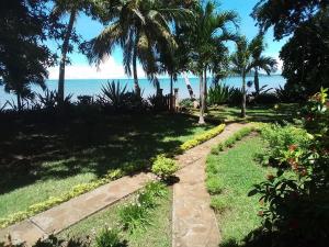 a path to the beach with palm trees and the ocean at Villa Colibri in Nosy Be