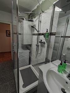 a bathroom with a shower and a sink and a shower at Ferienwohnung Grimmer in Weil am Rhein