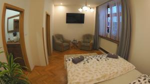 TV a/nebo společenská místnost v ubytování HOTEL BRITANNIA VSETÍN