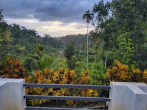 - Vistas al bosque desde un puente en Helen's Villa Kerala, en Kalpetta