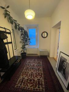 ein Wohnzimmer mit einem Teppich und einem Fenster in der Unterkunft Apartment ANKA in Bad Ischl