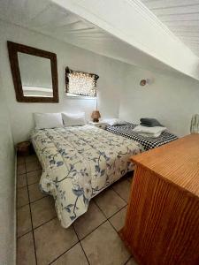 a bedroom with a bed and a mirror in it at Petite maison à 100m de la plage in Marseillan