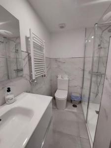 y baño con lavabo, aseo y ducha. en Apartamento 12 de Octubre, Almendrales en Madrid