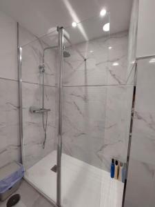 W łazience znajduje się prysznic ze szklanymi drzwiami. w obiekcie Apartamento 12 de Octubre, Almendrales w Madrycie