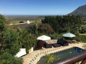 a swimming pool with two umbrellas and a swimming pool at Wild Rose Country Lodge in Noordhoek