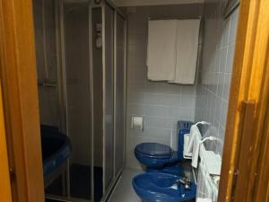 Life Hotels Des Alpes في فولاريا: حمام به مرحاضان زرقان ومغسلة