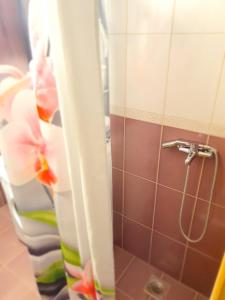a shower with a hose in a bathroom at Apartman Magdalena in Knin