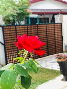 una rosa roja sentada frente a una valla en Rishi Residence Athurugiriya en Athurugiriya