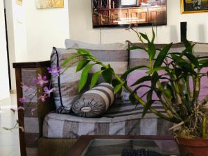 sala de estar con sofá, almohadas y plantas en Rishi Residence Athurugiriya en Athurugiriya