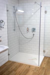 La salle de bains est pourvue d'une douche avec une porte en verre. dans l'établissement Amtsgerichts Blick, à Oppenheim