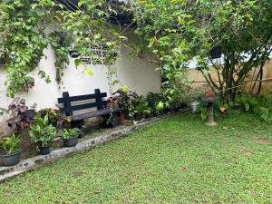 a park bench sitting in a garden with plants at Serene Garden Lodge in Ahangama