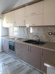 a kitchen with a sink and a stove top oven at Villa lake ohrid in Pogradec