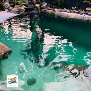 Una piscina de agua verde con rocas. en Cóc Retreat Mỹ Tho City, en Mỹ Tho