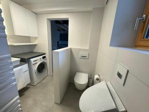 ein kleines Bad mit einem WC und einer Waschmaschine in der Unterkunft Gloria Holiday - Kranjska Gora Apartments in Kranjska Gora