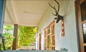 Fotografie z fotogalerie ubytování Unakuruwa Ravenala Homestay v Tangalle