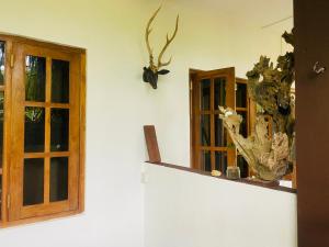 Fotografie z fotogalerie ubytování Unakuruwa Ravenala Homestay v Tangalle