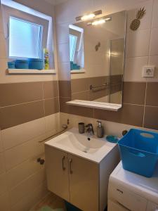 a bathroom with a sink and a mirror at Apartment Toth - Rtina Benići in Rtina +24 photos
