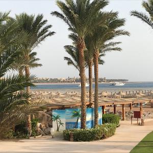 a view of a beach with palm trees and a bridge at sahl hashesh makadi- hurghada- in Hurghada