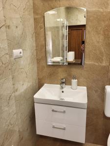 a bathroom with a white sink and a mirror at Glória Apartman Szarvas in Szarvas