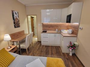 Kuchyňa alebo kuchynka v ubytovaní Glória Apartman Szarvas + 6 fotografií