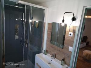 een badkamer met een douche, een wastafel en een spiegel bij Les gites de Pétrocoriis in Boulazac