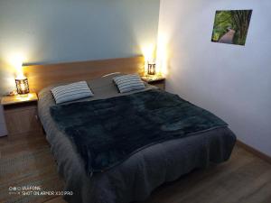 a bedroom with a large bed with two lights on it at Les gites de Pétrocoriis in Boulazac