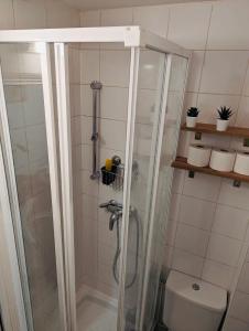 a shower with a glass door next to a toilet at Pretty Studio à Bobigny in Bobigny