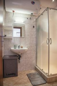 uma casa de banho com um lavatório e um chuveiro em Cozy apartment next to the forest and the gondola em Bansko
