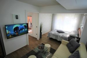 a living room with a bed and a television on a wall at Apartment Superior in Fjesa