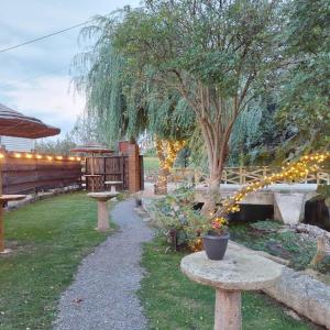 un jardin avec des bancs et un arbre éclairé dans l'établissement Camping Costa da Morte, à Zas