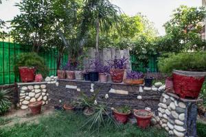 a garden with a bunch of potted plants and a fence at OYO Home Spacious Studio Sector 21-a Faridabad in Faridabad