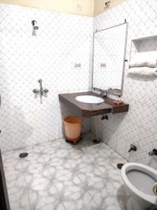 a bathroom with a sink and a mirror at Hotel Spoonbbill in Bharatpur